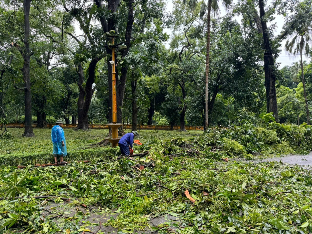 Thông báo về việc tạm dừng đón khách tham quan tại Khu Di tích Phủ Chủ tịch để khắc phục hậu quả bão số 3